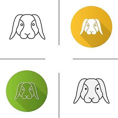 EPS 해외이미지 사람없음 세트 토끼 라인아트 심플 해외일러스트 선 포유류 반려동물 파일형식 벡터 이미지허브