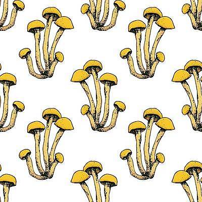 EPS 해외이미지 식물 손 음식 패턴 채소 일러스트 재료 자연 건강 요리 세트 버섯 수확 굴 낙서 숲 스케치 메뉴 그림 유기농 날것 손그림 레시피 판화 내추럴 고립 곰팡이 식용 채식주의자 맛있는 해외일러스트 웰빙 무늬 농업 어패류 미술 신체부위 생태계 채식 파일형식 벡터 이미지허브