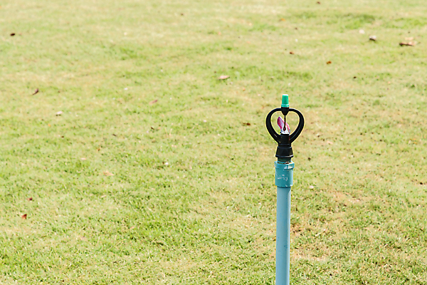 포토 JPG 해외이미지 식물 백그라운드 밭 농업 자연 풍경 잔디 초원 사람없음 야외 초록색 물 여름 햇빛 머리 환경 정원 봄 장비 성장 공구 신선 닫기 수분 땅 뿌리기 원예 스프레이 분무기 시스템 돌봄 스프링쿨러 압력 자동 해외포토 자연요소 계절 산업 컬러 모션 취미 신체부위 태양 도구 생태계 파일형식 이미지허브