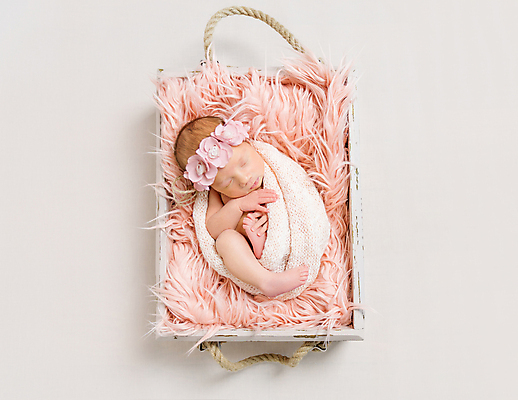 포토 JPG 해외이미지 여자 한명 사람 장미 바구니 침대 아기 머리띠 잠 담요 여자아기한명만 해외포토 1 꽃 가구 장신구 여자한명만 여자아기만 파일형식 이미지허브