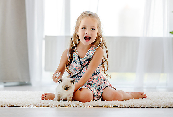 포토 JPG 해외이미지 전신 라이프스타일 여자 행복 어린이 새끼 청진기 놀이 실내 사랑 한명 들기 사람 앞모습 반려동물 고양이 우정 펫팸족 랙돌 해외포토 동물 1 감정 뷰포인트 포유류 의료기기 모션 내부 생활 친구 신조어 파일형식 이미지허브