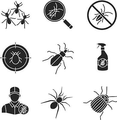EPS 해외이미지 모양 디자인 실루엣 곤충 컨셉 일러스트 돋보기 감자 그림자 세트 검은색 웹 클래식 해충 벌레 떨어짐 목표 딱정벌레 심볼 사인 검색 거미 배지 분무기 팩 개미 미끼 고립 그만 땅바닥 상형문자 제어 콜로라도 해외일러스트 동물 문자 컬러 인터넷 채소 바닥 촬영기법 미국 화장품 파일형식 벡터 이미지허브