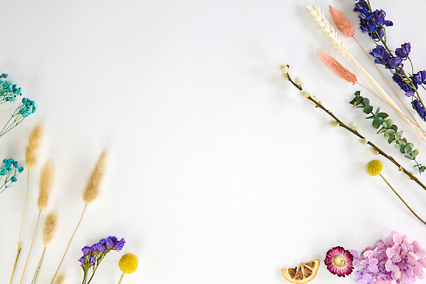 포토 JPG 해외이미지 식물 디자인 기념일 꽃잎 꽃 결혼 백그라운드 잎 꽃무늬 패턴 오렌지 자연 벽지 휴가 프레임 건조 사랑 사람없음 장식 컬러풀 우주 봄 낭만 수확 벚꽃 흰색 나뭇가지 시골 축하 인사 신용카드 생일 플랫 질감 엽서 머리위 위치 내추럴 고립 구성 목업 카피스페이스 미니멀 국경 해외포토 나무 계절 감정 컬러 컨셉 무늬 농업 과일 이벤트 금융 공백 예절 편지 생태계 파일형식 이미지허브