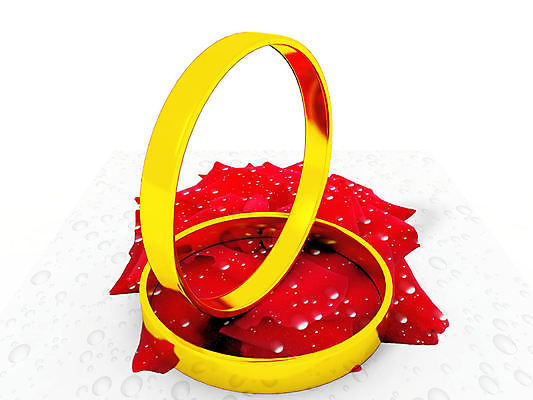 포토 JPG 해외이미지 전통 커플 기념일 꽃잎 꽃 행복 결혼 2 자연 결혼식 발렌타인데이 사랑 사람없음 빨간색 뷰티 장미 낭만 흰색 축하 반지 황금 보석 심볼 약혼 해외포토 식물 감정 컬러 컨셉 장신구 관계 데이이벤트 이벤트 광석 생태계 약속 파일형식 이미지허브