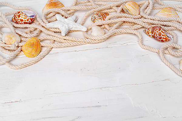 포토 JPG 해외이미지 밧줄 불가사리 사람없음 조개껍데기 소라 나무탁자 카피스페이스 해외일러스트 해외포토 줄 탁자 조개 어패류 극피동물 공백 파일형식 이미지허브