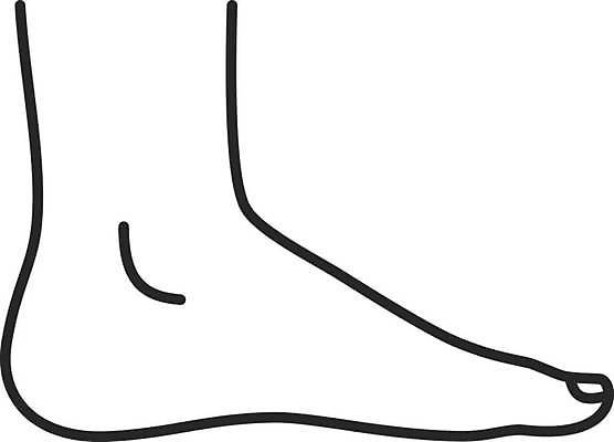 EPS 해외이미지 클립아트 디자인 선 컨셉 신체 일러스트 부분 해부 맨발 발 건강 미술 사람 픽토그램 웹 플랫 심볼 서비스 사인 그림 윤곽 발목 고립 돌봄 얇은 양발 해외일러스트 인터넷 의학 모션 문화예술 신체부위 파일형식 벡터 이미지허브
