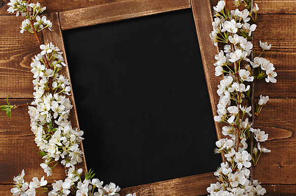 포토 JPG 해외이미지 교육 꽃 어린이 꽃무늬 통신 학교 프레임 사람없음 목재 학습 칠판 공백 수확 벚꽃 흰색 시골 판넬 메시지 그림 복고 각도 머리위 석판 옛날 카피스페이스 해외포토 나무 식물 컬러 무늬 농업 재료 사람 파일형식 이미지허브