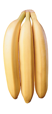 포토 JPG 해외이미지 음식 줄기 백그라운드 다이어트 과일 재료 바나나 건강 3 요리 사람없음 노란색 흰색 신선 달콤 다발 피부 보따리 유기농 섬유 내추럴 고립 숙성 해외포토 식물 웰빙 컬러 신체부위 직물 맛 파일형식 이미지허브