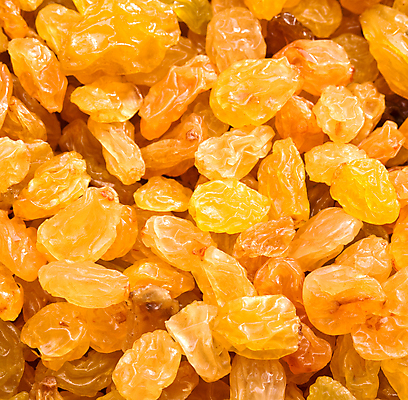 포토 JPG 해외이미지 음식 백그라운드 과일 재료 포도 디저트 건조 건강 사람없음 갈색 노란색 맑음 가을 대접 주름 황금 달콤 맛 먹기 묘사 질감 칼로리 내추럴 건포도 식용 탈수 디테일 맛있는 해외포토 계절 컬러 컨셉 모션 날씨 건과일 파일형식 이미지허브