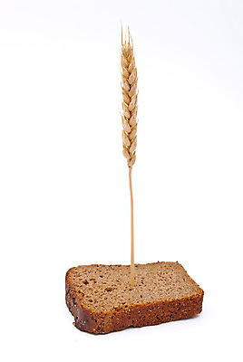 포토 JPG 해외이미지 식물 음식 빵 줄기 백그라운드 건강 옥수수 사람없음 갈색 주방 식사 껍질 흰색 원형 낟알 시리얼 밀 다발 준비 슬라이스 귀 밀가루 덩어리 고립 호밀 귀리 해외포토 도형 컬러 곡류 신체부위 가루 파일형식 이미지허브