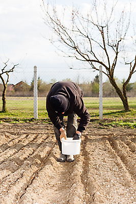 포토 JPG 해외이미지 식물 백인 라이프스타일 손 계절 여자 행복 음식 백그라운드 꽃무늬 농업 자연 건강 사람 성인 취미 사람없음 야외 초록색 농장 정원 봄 성장 신선 잡기 업무 작업 꽃집 유기농 원예 내추럴 돌봄 심기 원예사 해외포토 서양인 직업 웰빙 꽃 감정 산업 컬러 무늬 모션 생활 신체부위 상점 생태계 파일형식 이미지허브