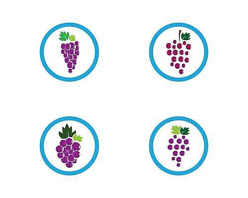 EPS 해외이미지 식물 디자인 열매 실루엣 음식 백그라운드 잎 농업 과일 일러스트 자연 탁자 포도 매달리기 건강 그래픽 빨간색 농장 와인 보라색 주스 신선 플랫 달콤 다발 그림 유기농 날것 윤곽 포도밭 포도나무 내추럴 고립 메를로 엘리먼트 입가심 해외일러스트 웰빙 산업 음료 컬러 가구 밭 모션 주류 촬영기법 맛 과일나무 생태계 파일형식 벡터 이미지허브