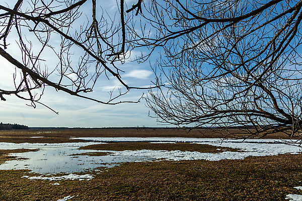 포토 JPG 해외이미지 나무 식물 계절 공원 여행 백그라운드 겨울 하늘 풍경 사람없음 야외 목재 물 파란색 강 뷰티 반사 봄 가을 흰색 연못 황무지 눈내림 해외포토 자연요소 공공시설 컬러 재료 눈_날씨 파일형식 이미지허브