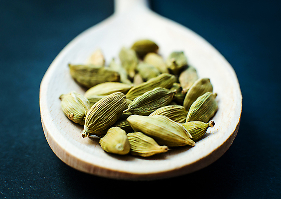 포토 JPG 해외이미지 디자인 음식 백그라운드 재료 자연 건조 건강 요리 씨앗 동양인 사람없음 초록색 쌓기 흰색 양념 조미료 그룹 맛 인도인 허브 향신료 유기농 매움 향기 아로마 향료 향 해외포토 외국인 식물 웰빙 컬러 컨셉 모션 인종 생태계 냄새 향미료 파일형식 이미지허브