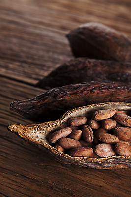 포토 JPG 해외이미지 디저트 사람없음 카카오열매 나무배경 해외포토 열매 음식 백그라운드 카카오 파일형식 이미지허브