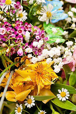 포토 JPG 해외이미지 식물 꽃잎 꽃 분홍색 꽃다발 결혼 잎 꽃무늬 엄마 국화 발렌타인데이 선물 사랑 사람없음 장식 빨간색 초록색 장미 갈색 노란색 검은색 봄 벚꽃 신선 난초 백합 다발 데이지 양귀비 약혼 해외포토 계절 감정 컬러 무늬 가족 데이이벤트 이벤트 약속 파일형식 이미지허브