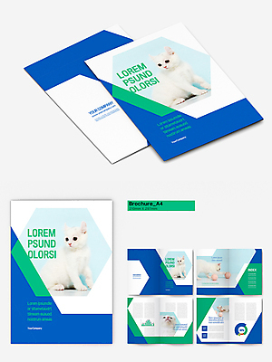 템플릿 새끼 리플렛 여러마리 장난 놀이 그래프 앉기 팜플렛 사람없음 초록색 파란색 반려동물 장난감 고양이 올려보기 흰색 털실 터키시앙고라 놀기 인디자인 INDD 반려묘 이미지템플릿 동물 컬러 다수 포유류 모션 실 파일형식