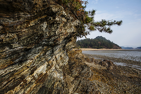 포토 JPG 주간 섬 자연 하늘 산 풍경 사람없음 야외 바위 나뭇가지 전라남도 암벽 서해안 신안 국내포토 자연요소 나무 돌_바위 전라도 생태계 파일형식
