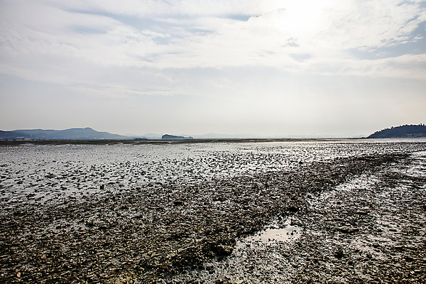 포토 JPG 주간 구름 섬 자연 하늘 산 풍경 사람없음 야외 전라남도 갯벌 서해안 신안 국내포토 자연요소 전라도 생태계 파일형식