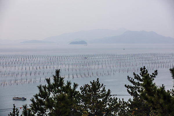 포토 JPG 주간 나무 바다 섬 자연 하늘 풍경 사람없음 야외 전라남도 양식장 흐림 서해 서해안 신안 양식업 국내포토 자연요소 식물 날씨 전라도 시설 생태계 파일형식