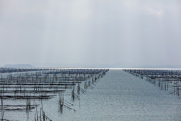 포토 JPG 주간 바다 자연 하늘 풍경 사람없음 야외 전라남도 양식장 서해 서해안 신안 양식업 국내포토 자연요소 전라도 시설 생태계 파일형식