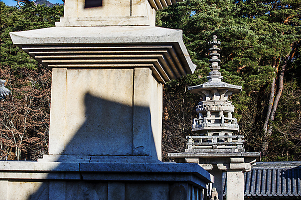 포토 JPG 주간 사람없음 야외 경주 소나무 사찰 석탑 경상북도 기와지붕 불국사 다보탑 석가탑 겨울풍경 국내포토 자연요소 나무 겨울 종교건축 지붕 기와 풍경 탑 경상도 랜드마크 파일형식