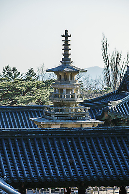 포토 JPG 주간 나무 사람없음 야외 경주 사찰 석탑 경상북도 기와지붕 불국사 다보탑 겨울풍경 국내포토 자연요소 식물 겨울 종교건축 지붕 기와 풍경 탑 경상도 랜드마크 파일형식