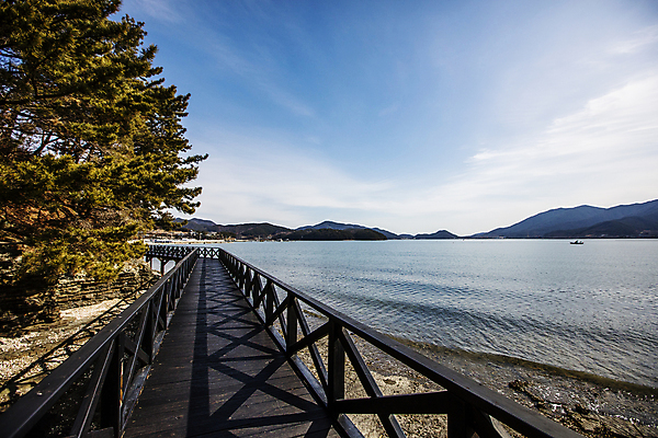 포토 JPG 주간 나무 구름 바다 섬 하늘 풍경 사람없음 야외 경상남도 나무다리 남해 고성_경상남도 바닷길 국내포토 자연요소 식물 길 다리_건축물 경상도 파일형식