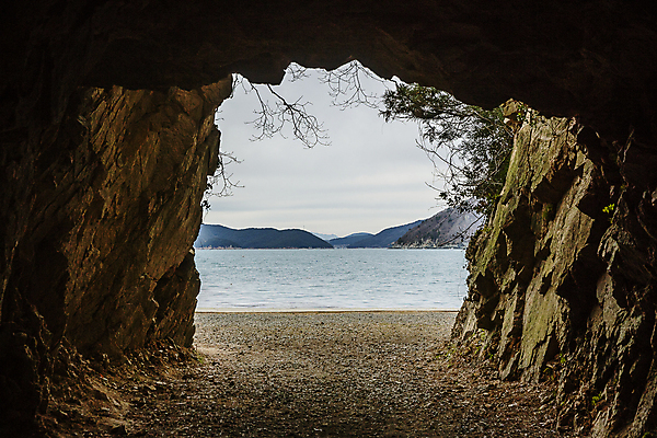 포토 JPG 주간 바다 섬 사람없음 야외 나뭇가지 동굴 경상남도 남해 고성_경상남도 겨울풍경 국내포토 자연요소 나무 겨울 풍경 경상도 파일형식