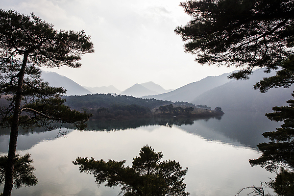 포토 JPG 주간 자연 산 사람없음 야외 저수지 소나무 충청북도 산등선 괴산 겨울풍경 산맥 국내포토 자연요소 나무 겨울 풍경 생태계 충청도 파일형식