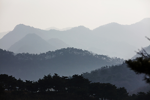 포토 JPG 주간 나무 자연 산 사람없음 야외 산등성이 충청북도 괴산 겨울풍경 산맥 국내포토 자연요소 식물 겨울 풍경 생태계 충청도 파일형식