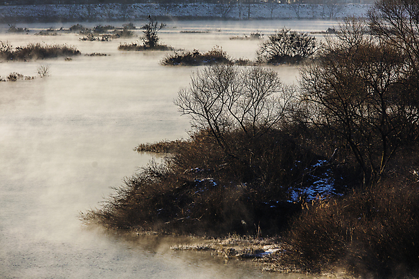 포토 JPG 주간 나무 식물 겨울 자연 사람없음 야외 강원도 춘천 소양강 겨울풍경 국내포토 자연요소 계절 한국 풍경 강 생태계 파일형식