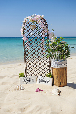 포토 JPG 해외이미지 식물 모래 바다 섬 결혼 자연 결혼식 휴가 간판 사랑 사람없음 야외 목재 장식 초록색 물 파란색 모래사장 낭만 흰색 표지판 메시지 사인 멀리 파라다이스 수평선 해외포토 자연요소 나무 감정 컬러 컨셉 재료 알림판 이벤트 생태계 파일형식 이미지허브