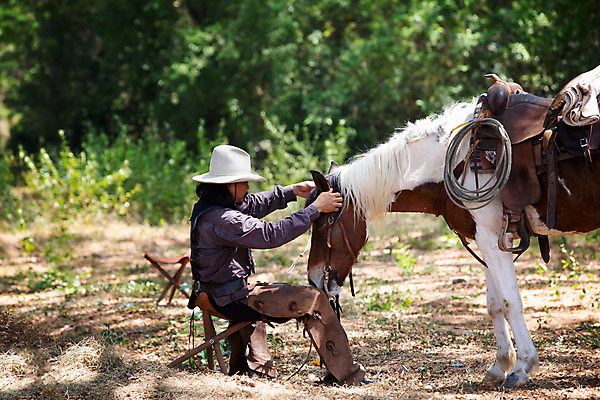 포토 JPG 해외이미지 동물 모자 남자 실루엣 스포츠 백그라운드 밭 자연 한명 사람 풍경 성인 야외 태양 농장 일출 일몰 경쟁 목장 새벽 승마 카우보이 승차 저녁 속도 라이더 서쪽 해외포토 레이스천 자연요소 1 잡화 컨셉 농업 모션 촬영기법 노을 직물 야간 방향 생태계 파일형식 이미지허브