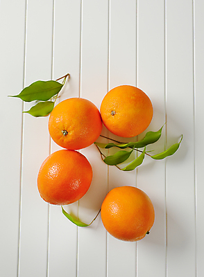 포토 JPG 해외이미지 귤 실내 사람없음 하이앵글 여러개 흰배경 해외포토 뷰포인트 다수 백그라운드 과일 내부 흰색 파일형식 이미지허브