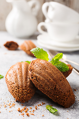 포토 JPG 해외이미지 디저트 실내 사람없음 아웃포커스 애플민트 초코맛 마들렌 해외포토 음식 촬영기법 내부 초콜릿 맛 민트 파일형식 이미지허브