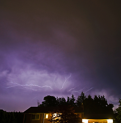 포토 JPG 해외이미지 나무 구름 백그라운드 자연 하늘 날씨 불꽃 주택 사람없음 여름 파란색 빛 어둠 힘 봄 활발 에너지 야간 위험 번개 무서움 흥분 볼트 폭풍 이웃 내추럴 해고 강렬 뇌우 스트라이크 요금 폭풍우 힘찬 해외포토 자연요소 식물 계절 감정 컬러 컨셉 비즈니스 불 건물 공구 비_날씨 자연재해 생태계 파일형식 이미지허브