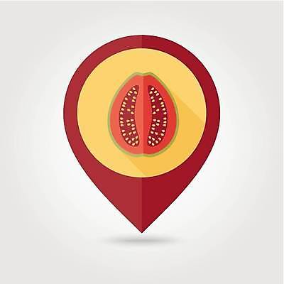 EPS 해외이미지 디자인 음식 조각 지도 다이어트 과일 일러스트 건강 신선 플랫 달콤 심볼 사인 위치 비타민 내추럴 고립 숙성 이국적 충고 맛있는 해외일러스트 맛 영양소 파일형식 벡터 컨셉 이미지허브