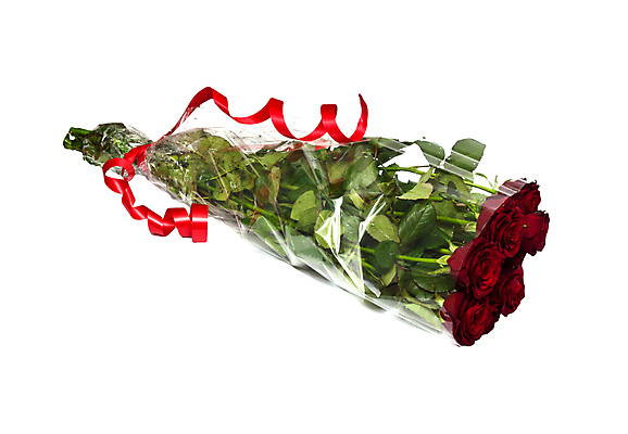 포토 JPG 해외이미지 식물 기념일 꽃잎 꽃 꽃다발 꽃무늬 텍스트 자연 선물 사람없음 빨간색 컬러풀 뷰티 장미 우주 놀람 흰색 축하 꽃집 12 고립 해외포토 감정 컬러 컨셉 무늬 표정 이벤트 숫자 상점 생태계 파일형식 이미지허브