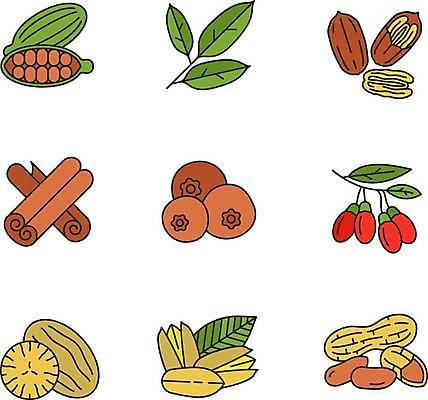 EPS 해외이미지 일러스트 요리 사람없음 향신료 땅콩 구기자 엘리먼트 월계수 카카오 카카오열매 피스타치오 브라질넛 카카오닙스 시나몬롤 해외일러스트 열매 디저트 견과류 시나몬 향미료 파일형식 벡터 이미지허브