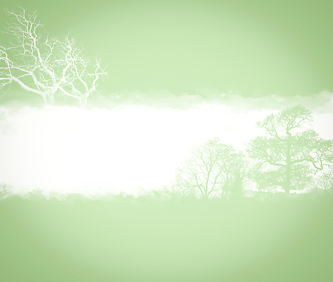 포토 JPG 해외이미지 나무 식물 아시아 종이 줄기 백그라운드 잎 꽃무늬 패턴 밭 텍스트 자연 프레임 갈대 그림자 동양인 풍경 사람없음 목재 가로 초록색 빛 평화 우주 정원 물방울 나뭇가지 막대기 황금 이슬 질감 장면 동쪽 땅바닥 오리엔테이션 스타일 국경 해외포토 꽃 나라 컬러 컨셉 무늬 농업 재료 바닥 인종 방향 생태계 파일형식 이미지허브