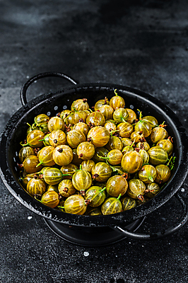 포토 JPG 해외이미지 그릇 사람없음 초록색 가득함 담기 구스베리 해외포토 식기 열매 컬러 모션 파일형식 이미지허브