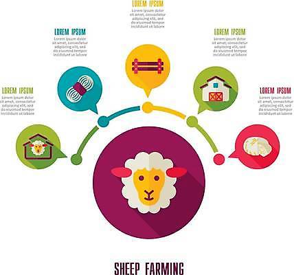 EPS 해외이미지 두마리 일러스트 치즈 사람없음 울타리 농장 양 털실 외양간 양젖 양털 해외일러스트 2 농업 포유류 유제품 담장 실 파일형식 벡터 이미지허브