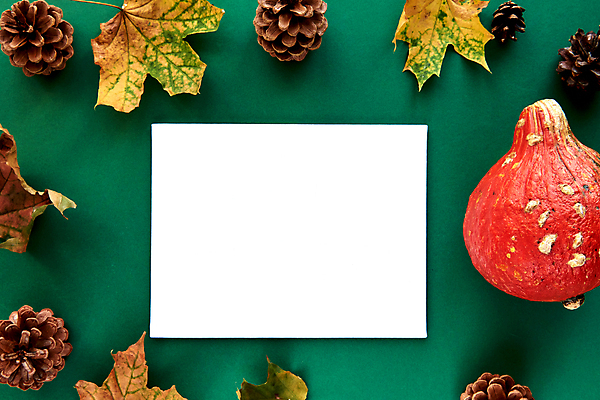 포토 JPG 해외이미지 종이 단풍 낙엽 호박 사각프레임 실내 사람없음 솔방울 카피스페이스 초록배경 해외포토 백그라운드 잎 채소 프레임 내부 초록색 사각형 공백 파일형식 이미지허브