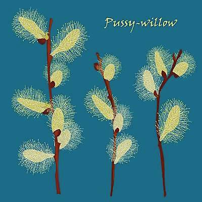 EPS 해외이미지 나무 식물 디자인 계절 꽃 백그라운드 꽃무늬 일러스트 자연 하늘 휴가 부활절 미술 장식 파란색 갈색 노란색 고양이 봄 낭만 수확 나뭇가지 축하 신용카드 숲 버드나무 심볼 활 그림 복고 내추럴 옛날 해외일러스트 기념일 컬러 컨셉 무늬 농업 포유류 문화예술 금융 반려동물 생태계 파일형식 벡터 이미지허브