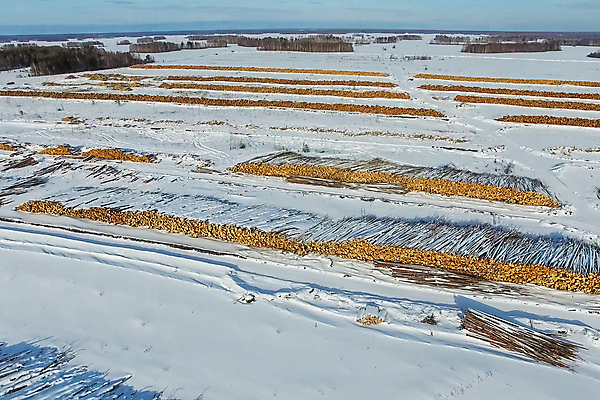포토 JPG 해외이미지 나무 식물 산업 겨울 자연 풍경 사람없음 야외 목재 세일 쌓기 환경 중국 힘 에너지 신선 제조 주식 숲 자르기 천 목수 준비 유기농 날것 러시아 통나무 나무껍질 연료 수납 자원 잡동사니 개발 땅바닥 벌목 부정부패 생태학 수목 시베리아 해외포토 직업 웰빙 계절 교육 유럽 아시아 재료 모션 바닥 금융 껍질 직물 생태계 파일형식 이미지허브