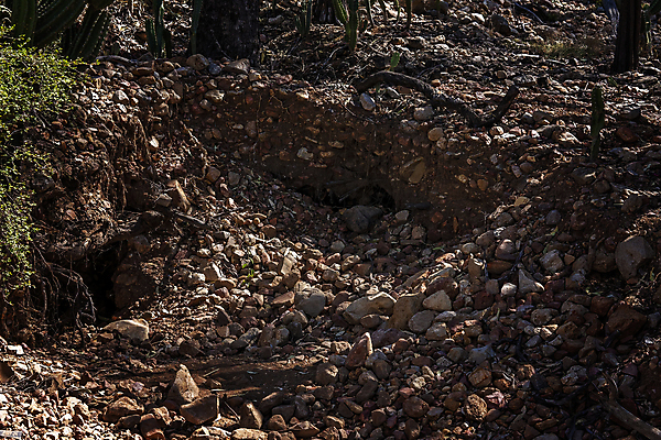 포토 JPG 해외이미지 손 응시 밭 건조 종류 사람없음 갈색 쌓기 희망 구멍 호주 빨래 크리스탈 보석 버리기 발굴 검색 사냥 먼지 암초 발견 땅파기 분류 사파이어 지질학 해외포토 시선 교육 감정 컬러 가사 농업 모션 신체부위 오세아니아 광석 파일형식 이미지허브