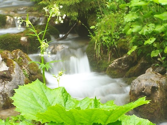 포토 JPG 해외이미지 계절 공원 음료 모션 자연 산 이끼 사람없음 야외 초록색 물 빛 강 뷰티 평화 환경 봄 폭포 젖음 흐름 에너지 추위 신선 개울 떨어짐 소프트포커스 순수 내추럴 생태학 해외포토 자연요소 공공시설 교육 컬러 컨셉 촬영기법 생태계 파일형식 이미지허브