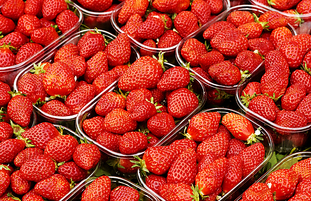 포토 JPG 해외이미지 딸기 사람없음 빨간색 신선 용기 해외포토 그릇 컬러 과일 파일형식 이미지허브