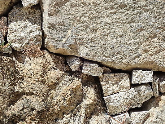 포토 JPG 해외이미지 동물 야생동물 벽 파충류 사람없음 초록색 바위 작음 도마뱀 암초 해외포토 컬러 돌_바위 크기 파일형식 이미지허브